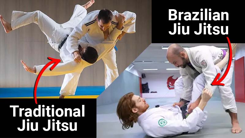 Best Jiu Jitsu Near Cape Coral Best Jiu Jitsu Near Cape Coral